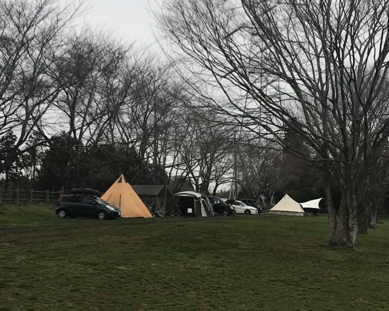 成田ゆめ牧場Dサイト