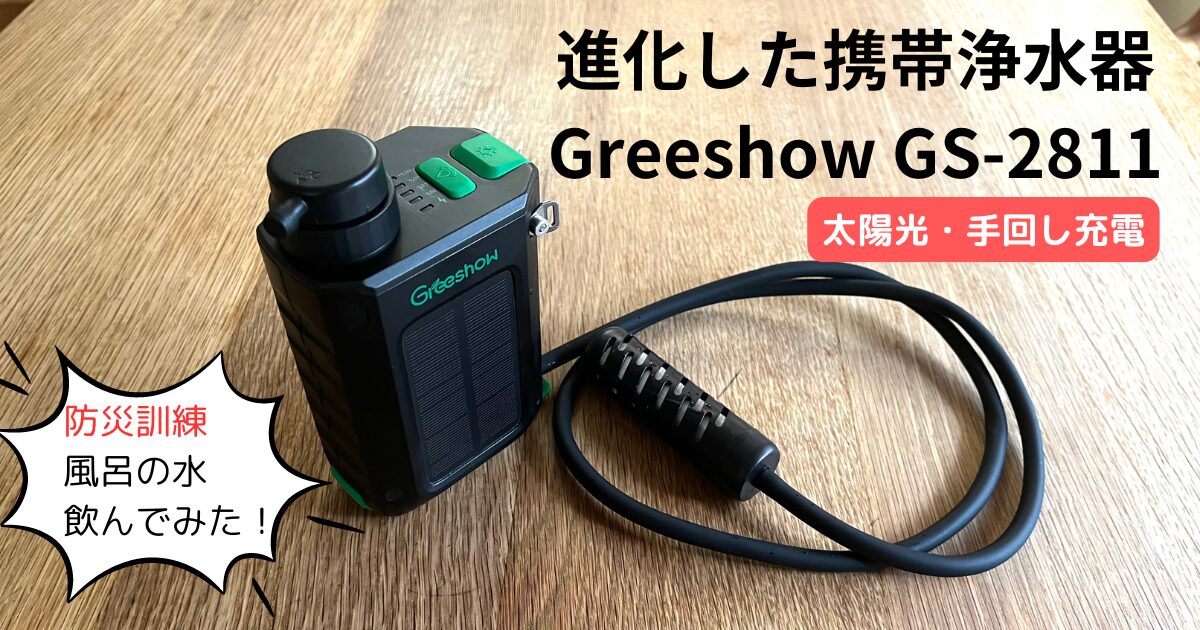 Greeshow GS-2811アイキャッチ画像