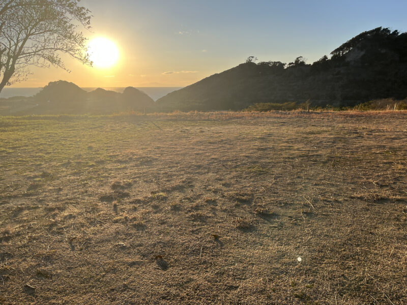 富津金谷オートキャンプヒルズ フリーサイト