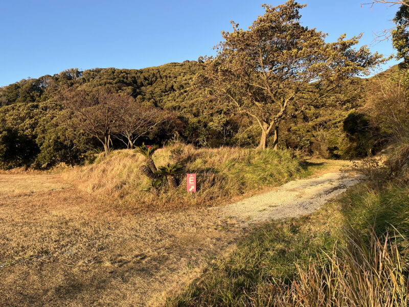 富津金谷オートキャンプヒルズ ソロサイト